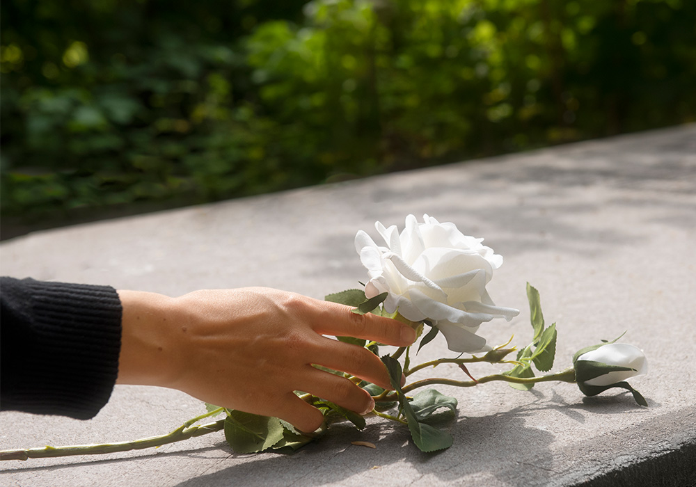 A lady's hand places two white roses onto a stone grave top